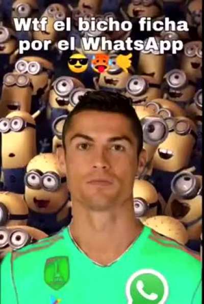 El bicho wassap