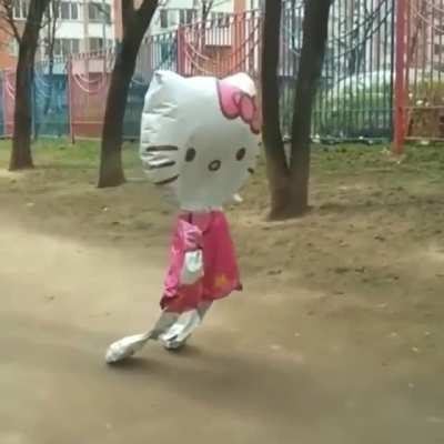kiTTeN WITh CrUsHEd LEgS DRaGs ItsELf hoMe