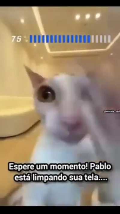 Espere um momento!
