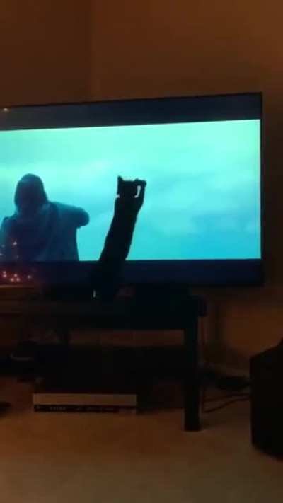 Fetch