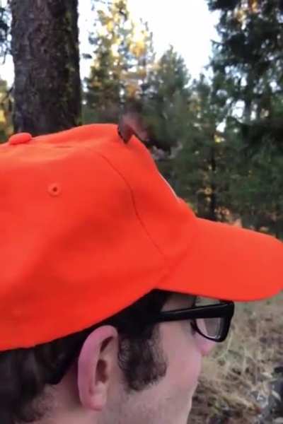 🔥 Confused hummingbird can't quite figure out how to drink from a guy's hat 🔥