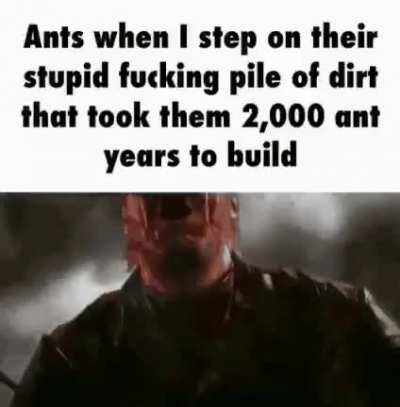 stupid brugs