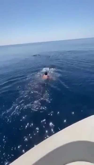 Surf’s up