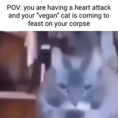 Guess I was wrong, huh.