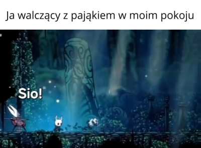 Pajączki są pożyteczne i pilnuję by ich nie skrzywdzić, ale straszą gdy są, bo boję się gryzienia.