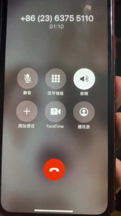 狂人拷打杀蛆分局