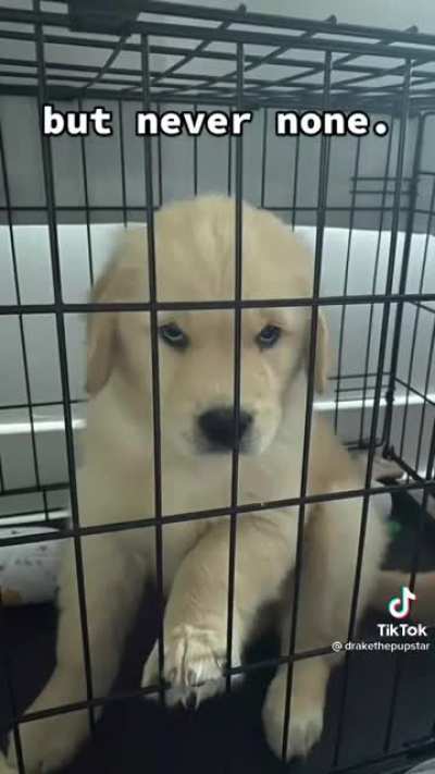The eyes