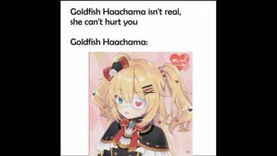 Goldfish Haachama