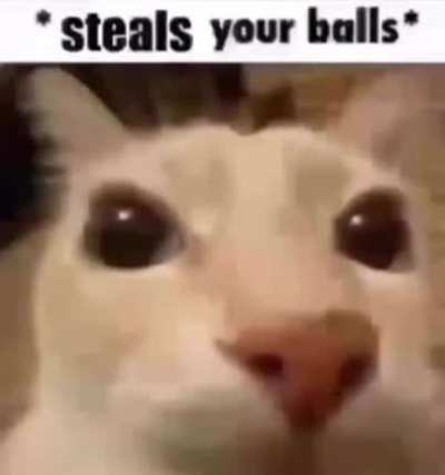 Heeheehawha
