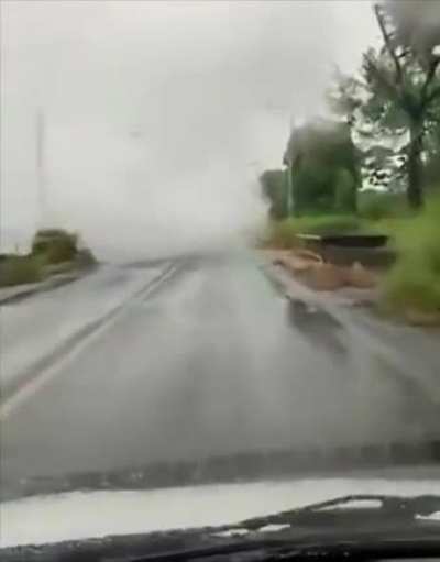 Driving through the fog