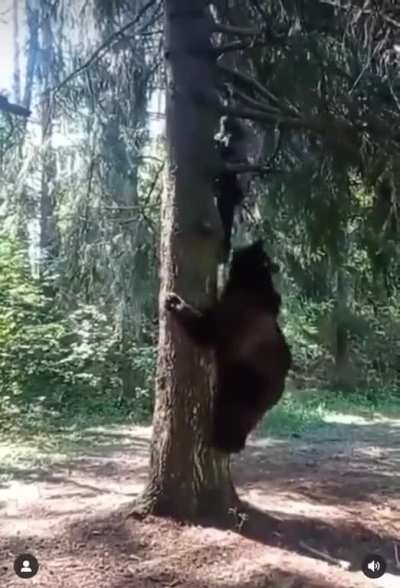 To catch the human