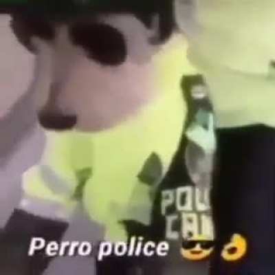 dogo polic&iacute;a B)