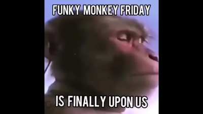 Happy Friday