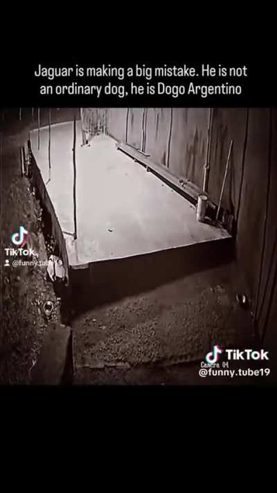 Woah&hellip;