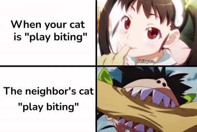 She's out for blood
