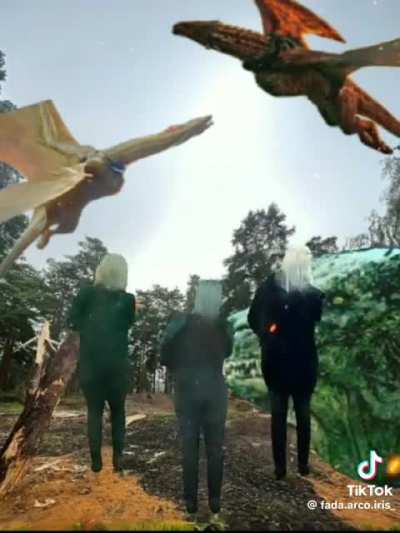 is this the dance of the dragons y&rsquo;all are talking about?