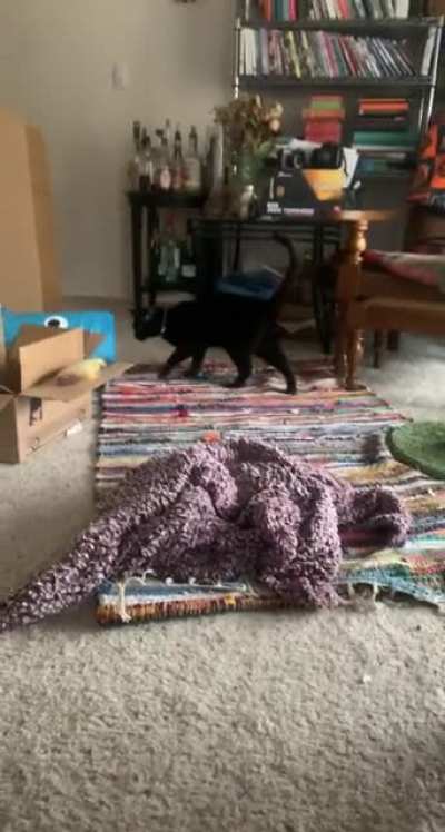 he just ran up bit me in the leg and then ran away to play and i somehow got it all on video?