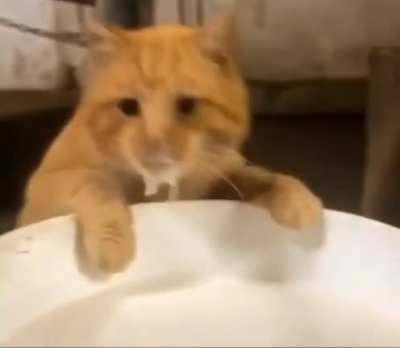 Caught in the act