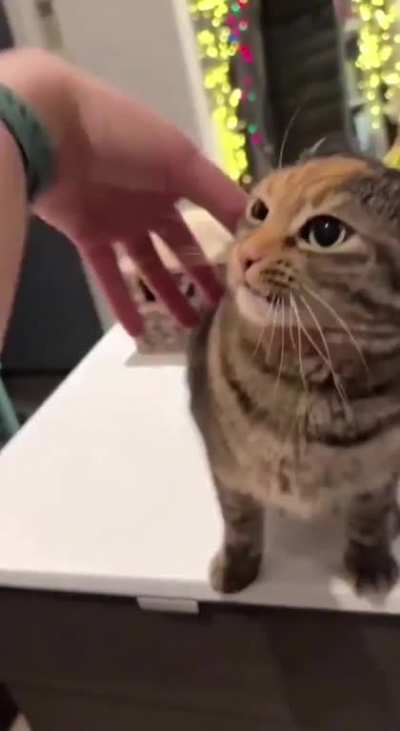Where have you been human? I missed you! Lemme bite!