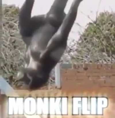 Monky flip