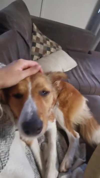 Scritchy scratchy