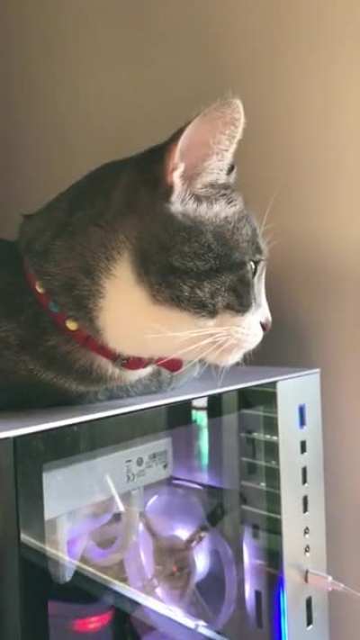 Don't waste your time studying case airflow...