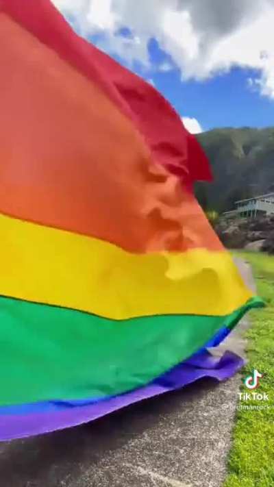 Happy Pride month!