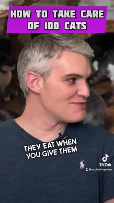 How to Take Care of 100 Cats