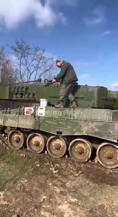 Having fun while brushing a big cat in the wild