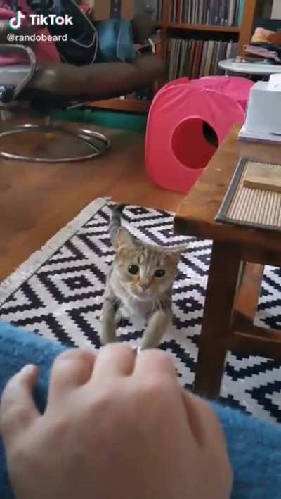 that one ear dodge tho