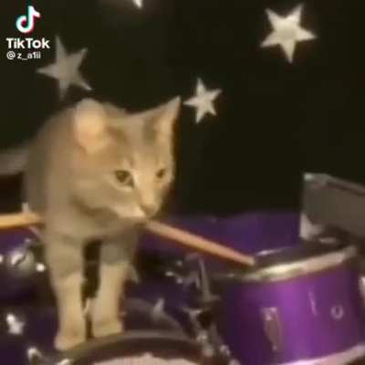 smol boi