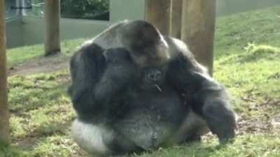 Monke😔