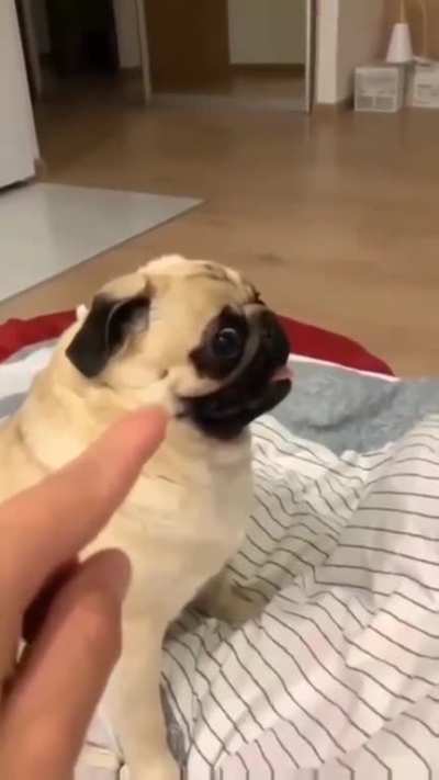 You think it&rsquo;s funny?