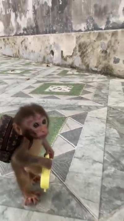 eu🐵nvr