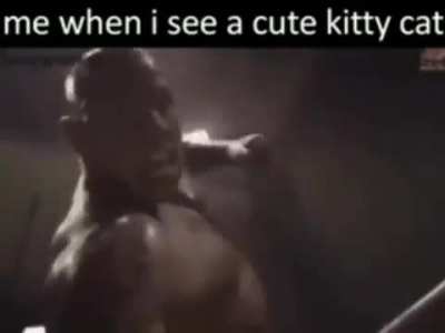 Mike Tyson&rsquo;s Wunk Out