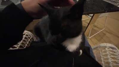 This guys came to my parents house 4 years ago&hellip; and stayed &amp;lt;3