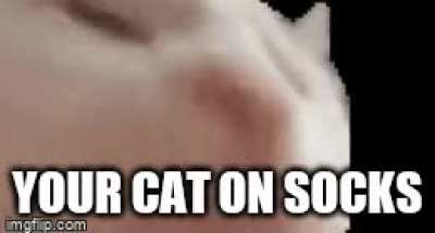 Bottom text
