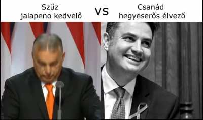 Val&oacute;s t&eacute;nyleg alapj&aacute;n
