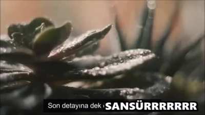 Kavga &ouml;ncesi atışırken