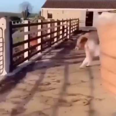 &rlm;&rlm;&rlm;&rlm;&rlm;&rlm;&rlm;&rlm; &rlm;&rlm;&rlm;&rlm;&rlm;&rlm;&rlm;&rlm; &rlm;&rlm;&rlm;&rlm;&rlm;&rlm;&rlm;&rlm; &rlm;&rlm;&rlm;&rlm;&rlm;&rlm;&rlm;&rlm; &rlm;&rlm;&rlm;&rlm;&rlm;&rlm;&rlm;&rlm; &rlm;&rlm;&rlm;&rlm;&rlm;&rlm;&rlm;&rlm; &rlm;&rlm;&rlm;&rlm;&rlm;&rlm;&rlm;&rlm; &rlm;&rlm;&rlm;&rlm;&rlm;&rlm;&rlm;&rlm; &rlm;&rlm;&rlm;&rlm;&rlm;&rlm;&rlm;&rlm; &rlm;&rlm;&rlm;&rlm;&rlm;&rlm;&rlm;&rlm; &rlm;&rlm;&rlm;&rlm;&rlm;&rlm;&rlm;&rlm;