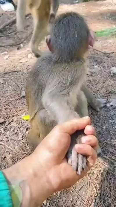 aww look I'm holding the money's hand