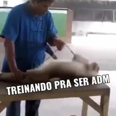 Cara&iacute;
