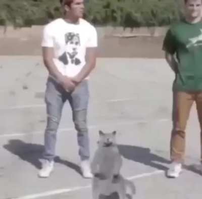 WTTH slaps
