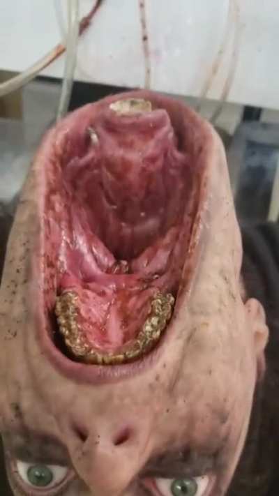 Deepthroat?