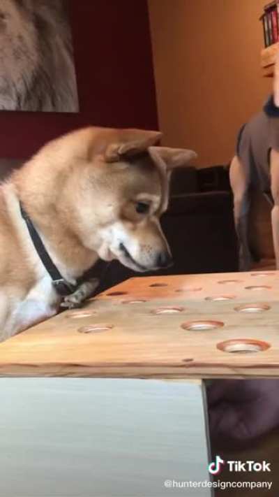 Angry boi