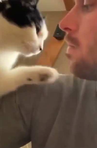 Affection is real