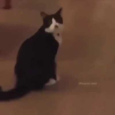 Run