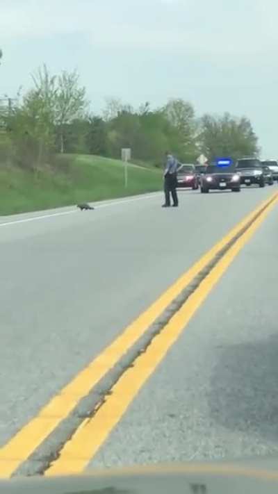 Police officer shoots an unarmed black groundhog multiple times
