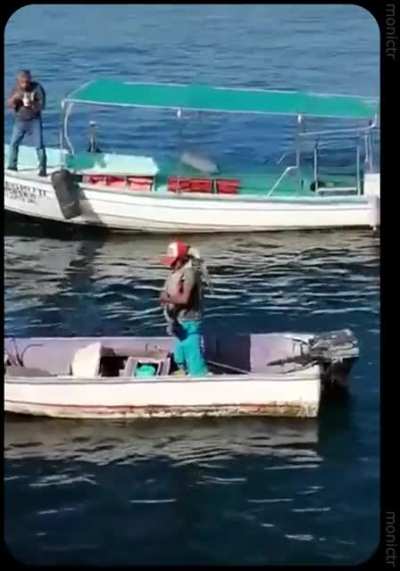 Wild bird enjoying a hug from a fisherman