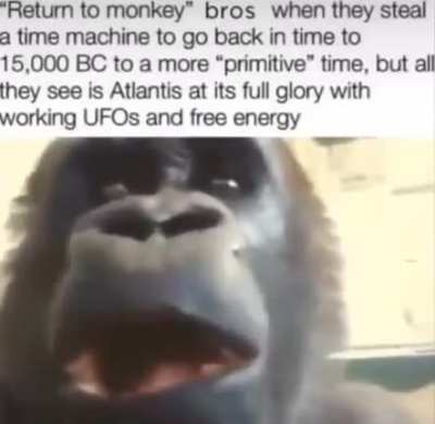 history